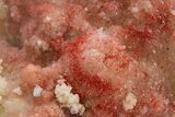 Vibrant-Red Cinnabar with Quartz - Cocineras Mine #319973-1